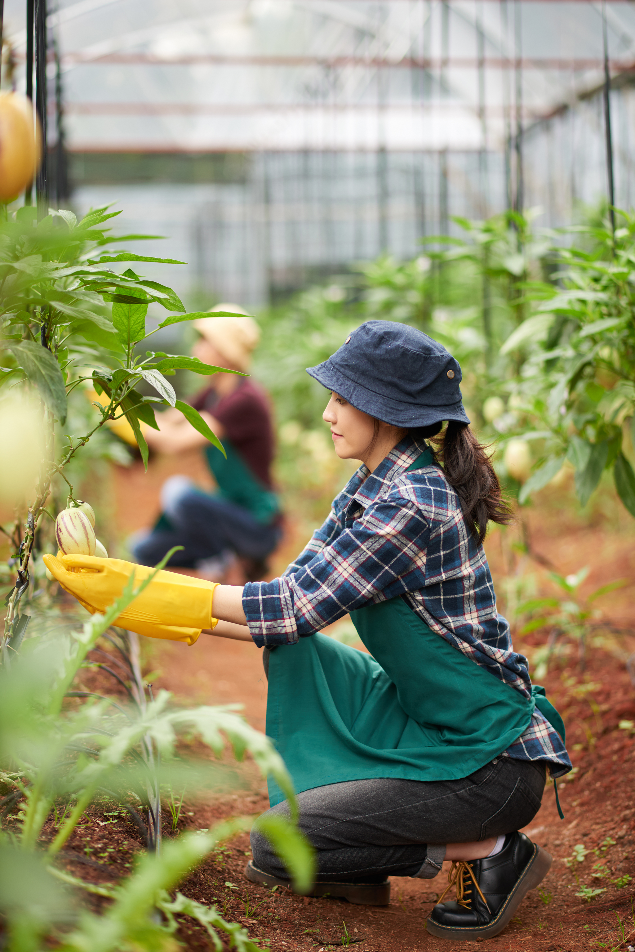 full-shot-of-female-agronomist-taking-care-of-the-greenhouse-plant_v2