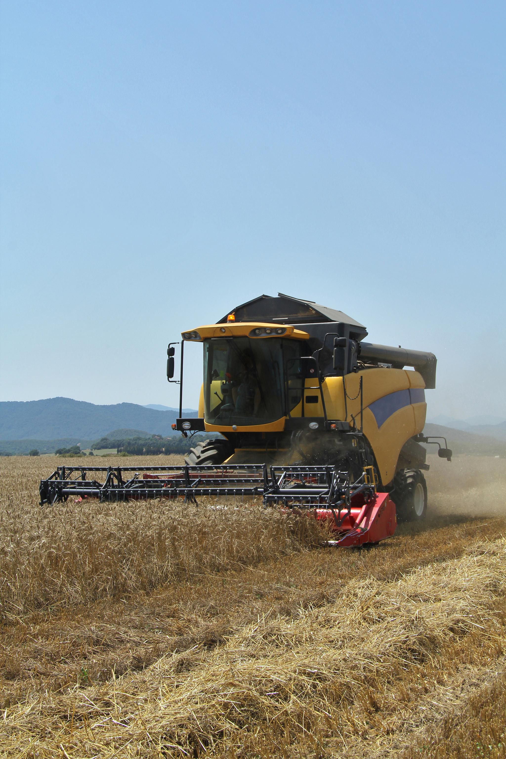 harvested-wheat-a-summer-day_v2